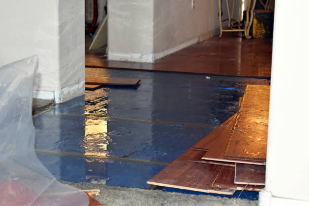 Professional Burst Pipe Cleanup technician working in Frankfort, IL